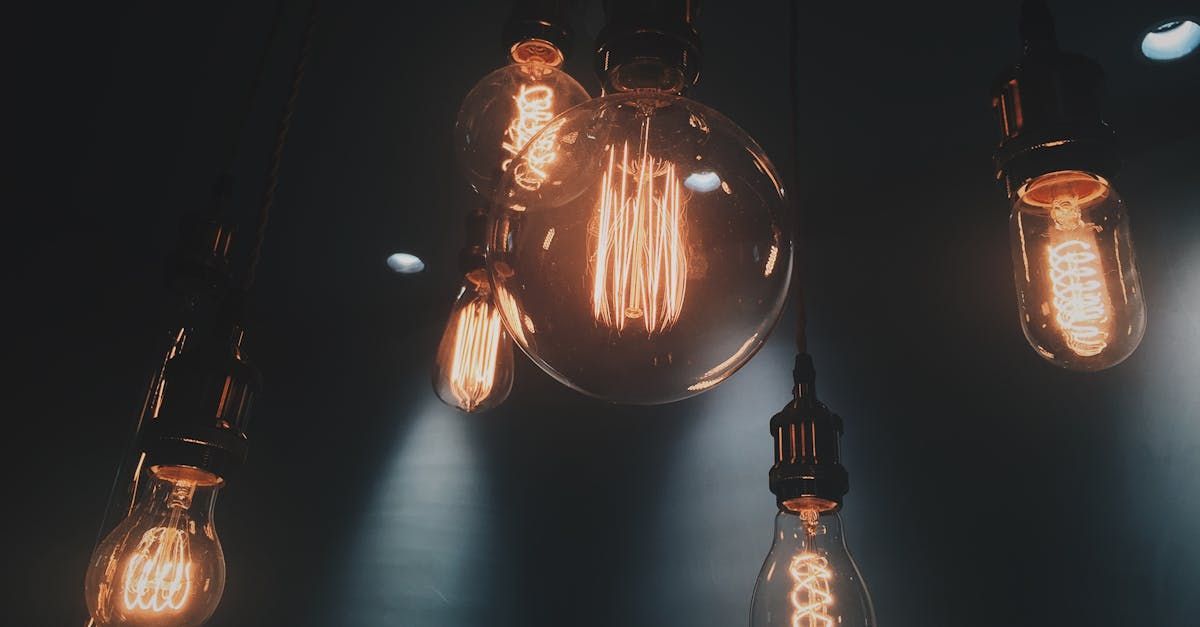 A person is holding a string of lights in their hands.