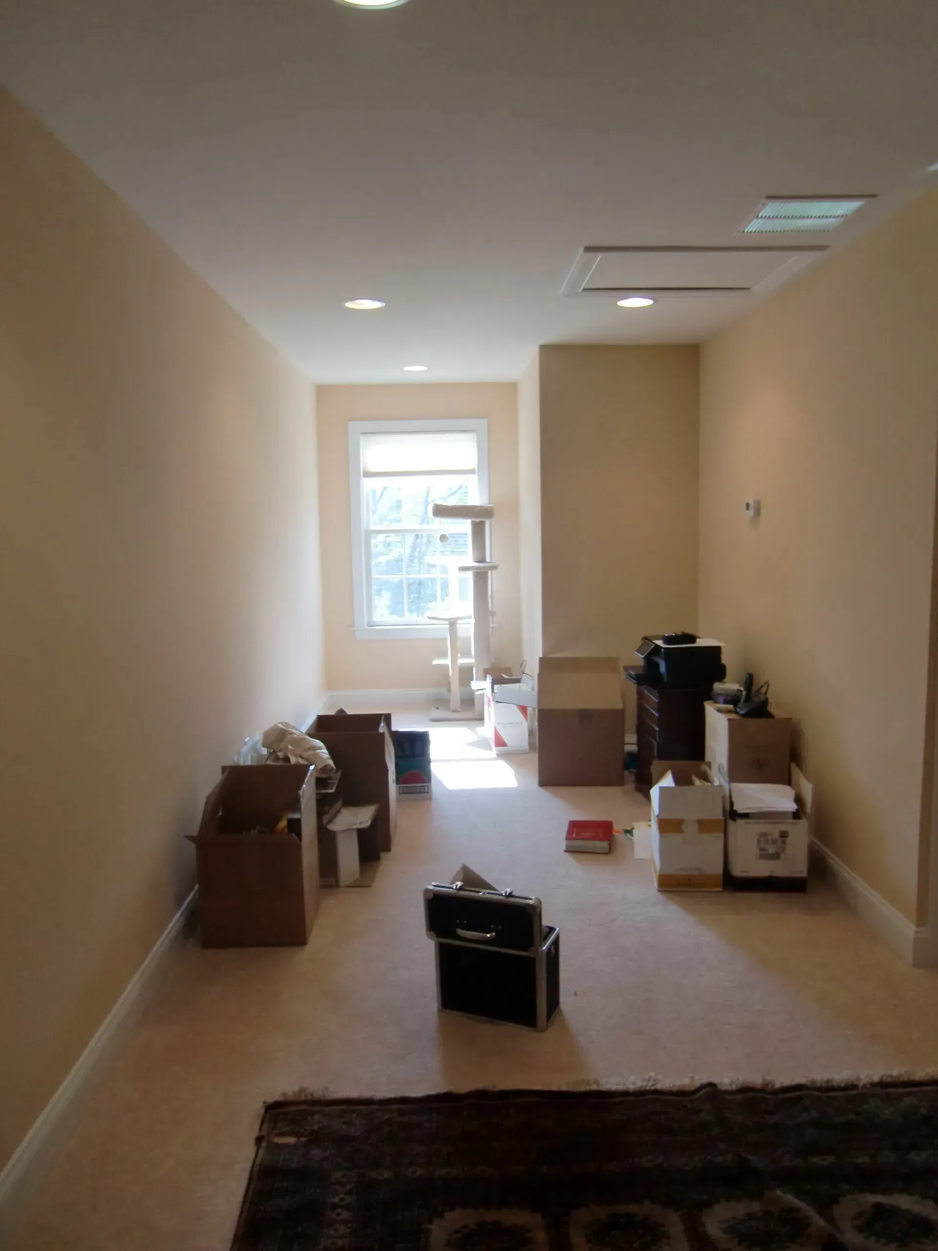 Empty room with beige walls, boxes, and a cat tree near a window. Carpeted floor.