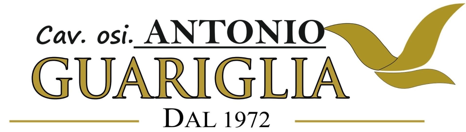 Onoranze funebri guariglia logo