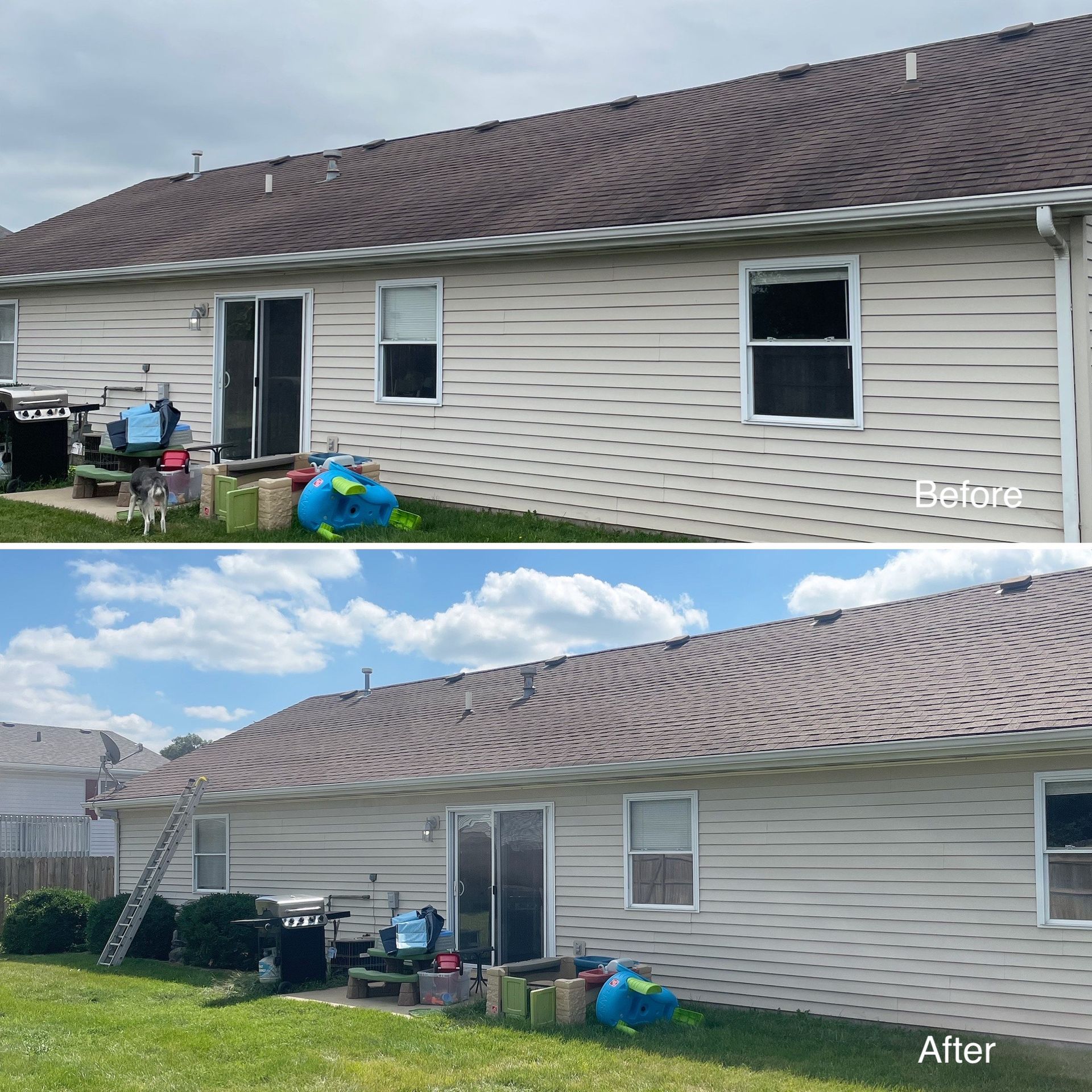 Roof Cleaning