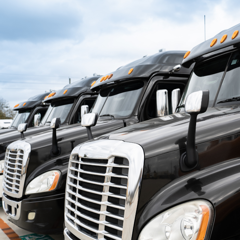 Row of black semi-trucks parked outdoors, chrome grills and side mirrors, under a cloudy sky.