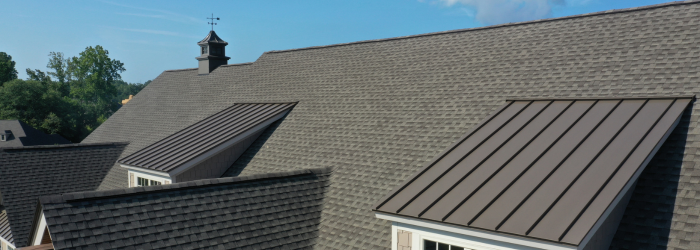 roof cleaning