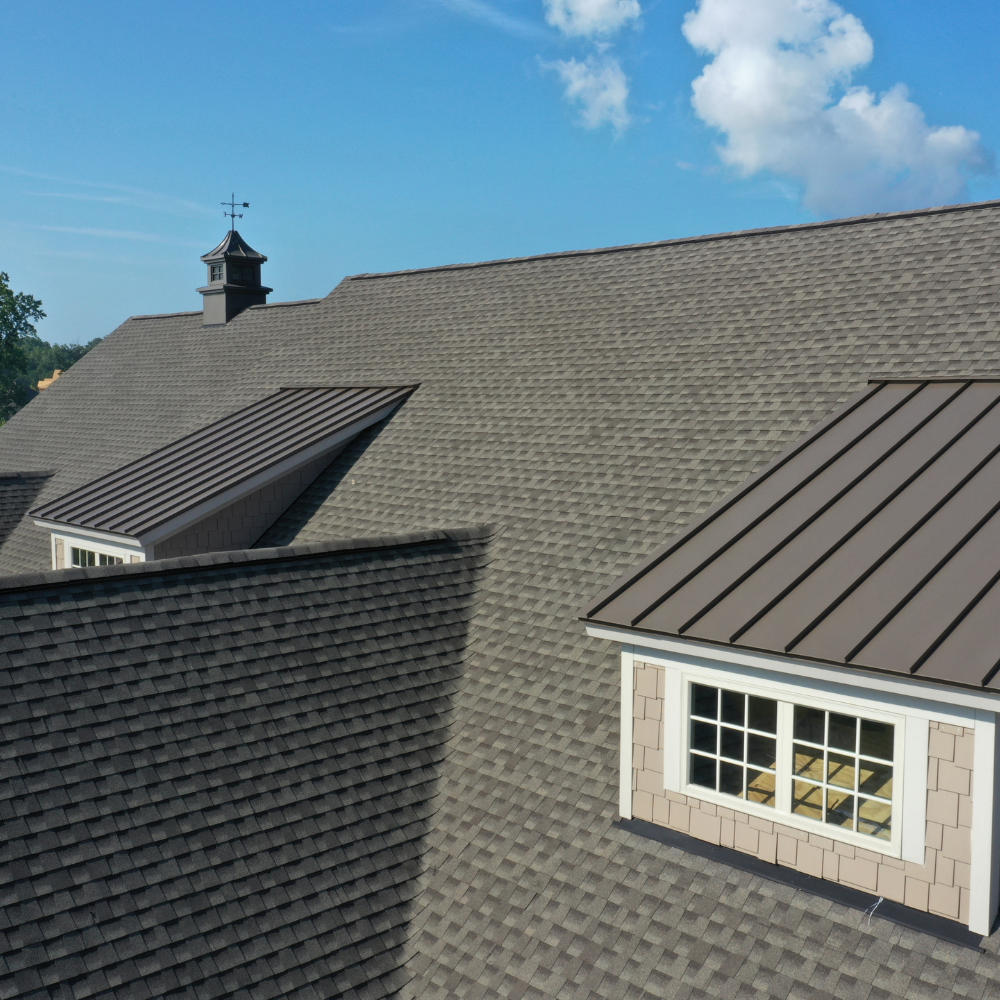 roof cleaning