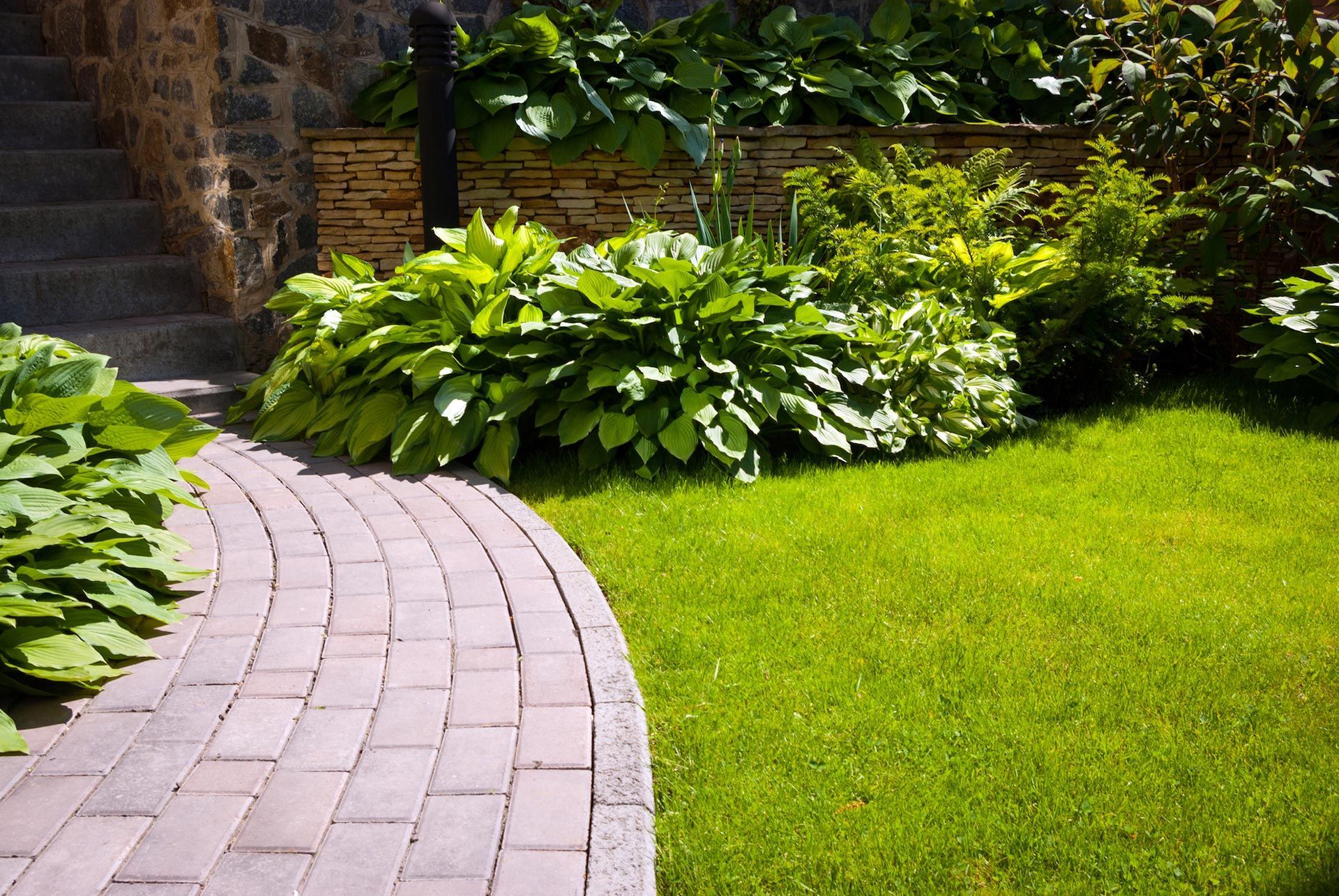 A lush green garden with lots of plants and rocks