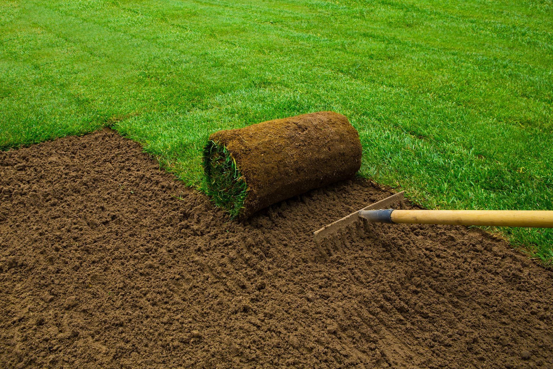 A person is rolling a roll of sod on a lush green lawn