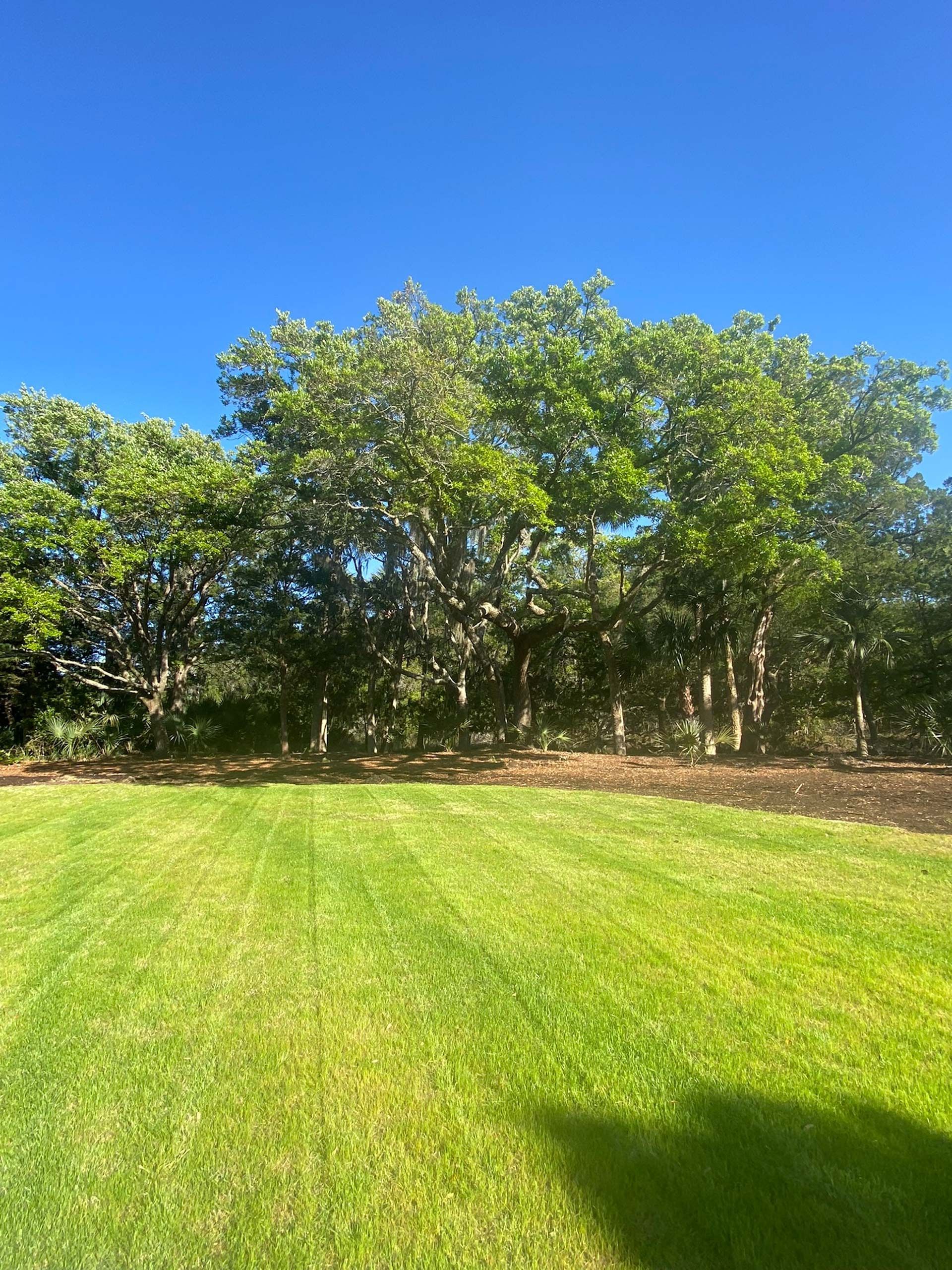 A person is mowing a lush green lawn with a lawn mower