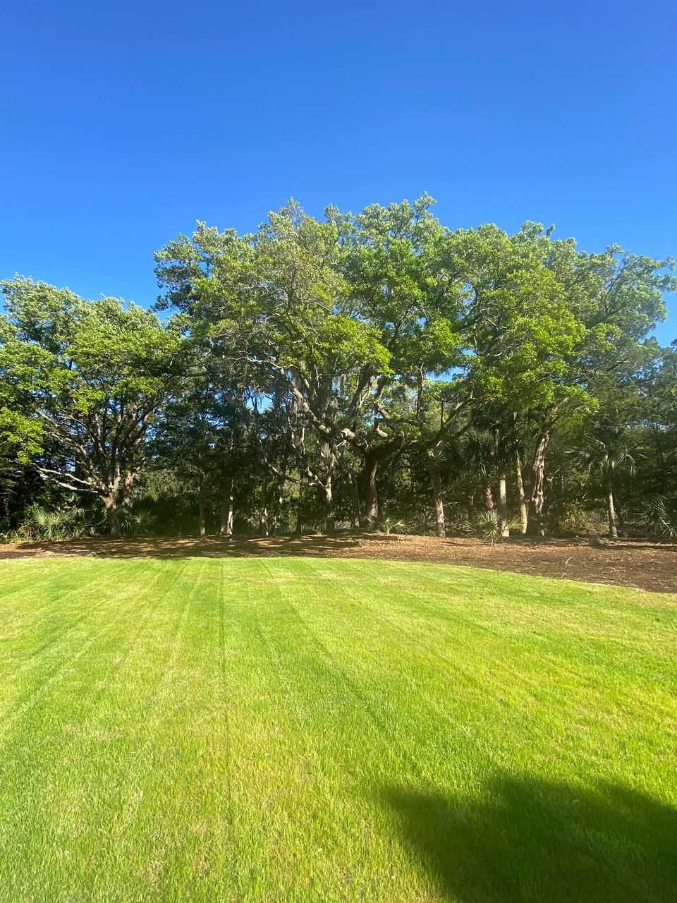 A person is mowing a lush green lawn with a lawn mower