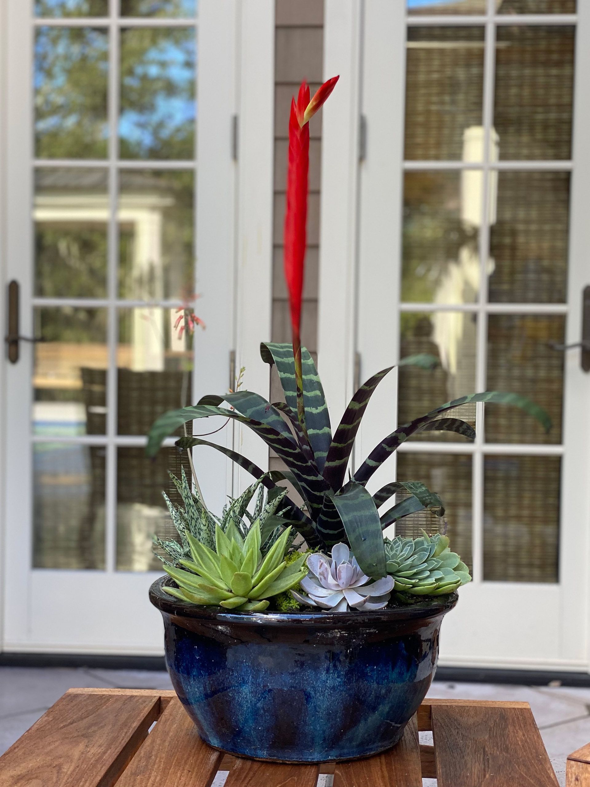 A potted plant with a red flower is sitting on a wooden table