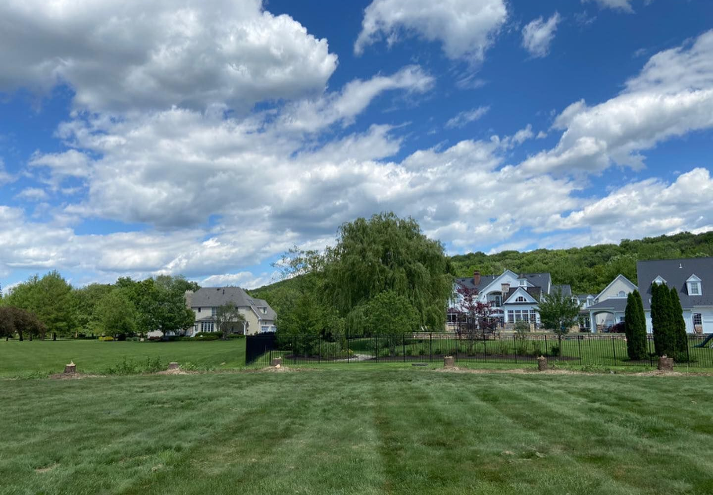 A wide, grassy lawn under a bright blue sky with fluffy white clouds, featuring suburban homes and trees in the distance.