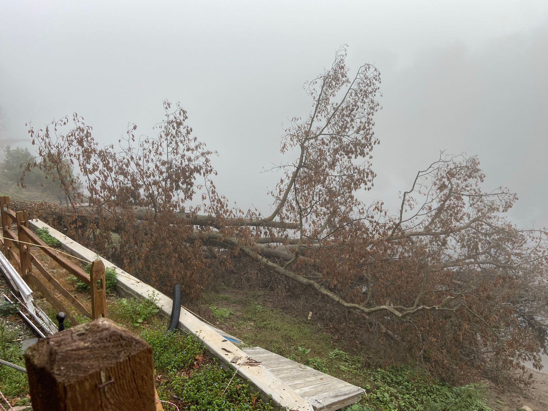 Storm-damaged boardwalk with fallen trees and debris in a foggy, gray landscape