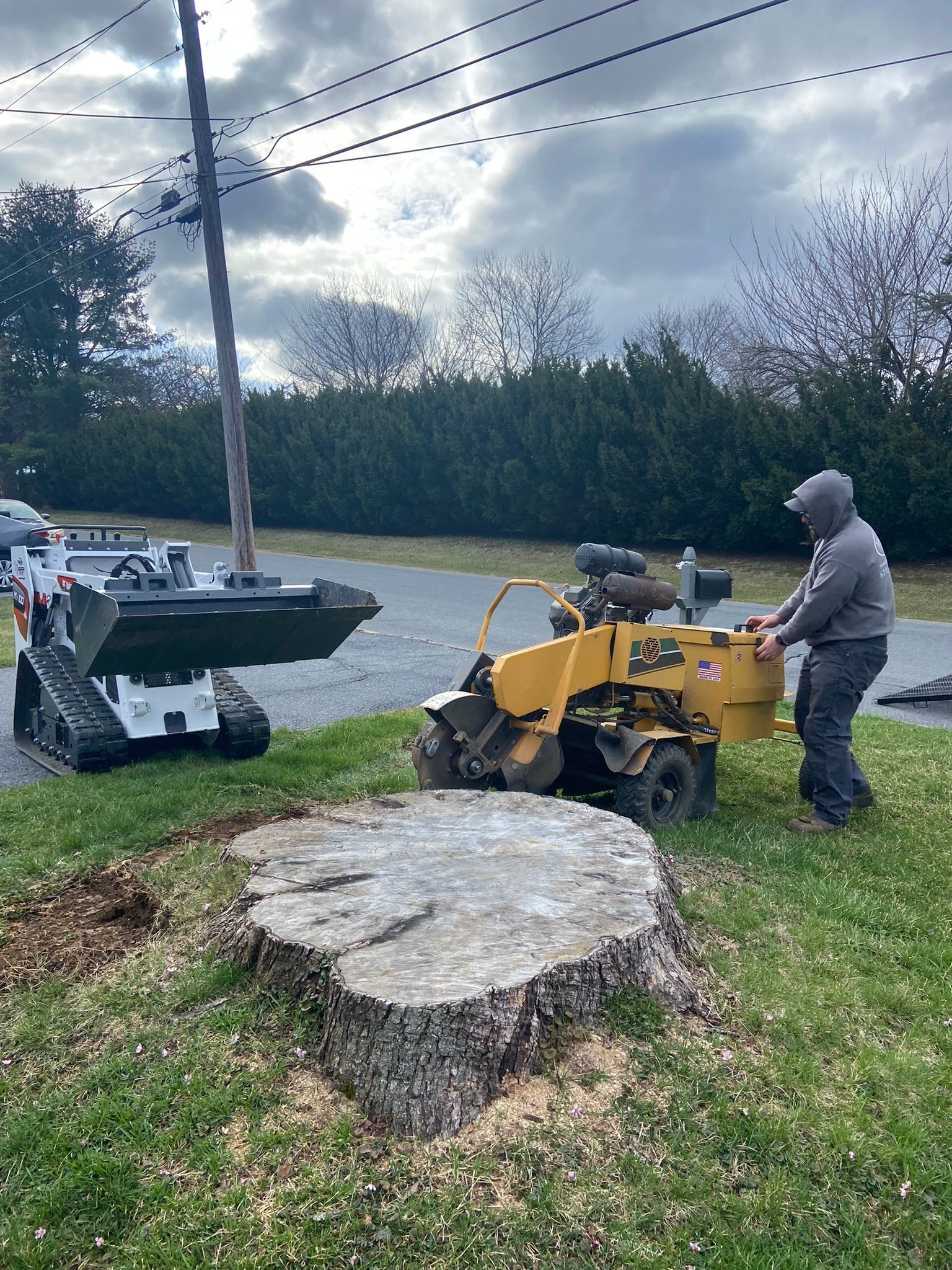 Man in gray hoodie pushing a yellow stump grinder beside a large tree stump on a roadside overcast day