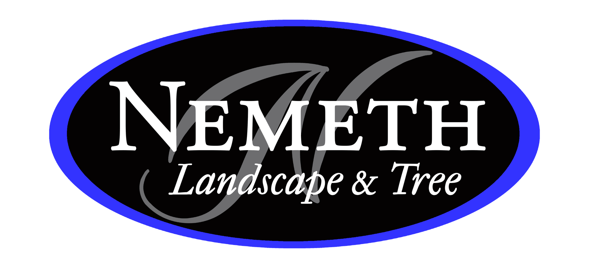 A blue-bordered black oval logo with 