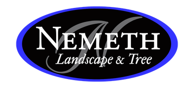 A blue-bordered black oval logo with 