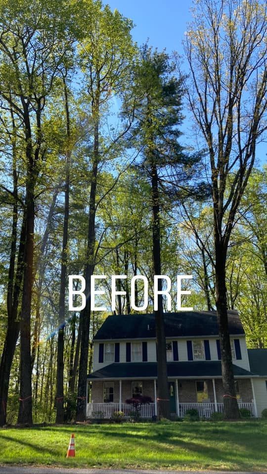 A two-story house surrounded by tall, leafy trees under a bright blue sky, with the word 