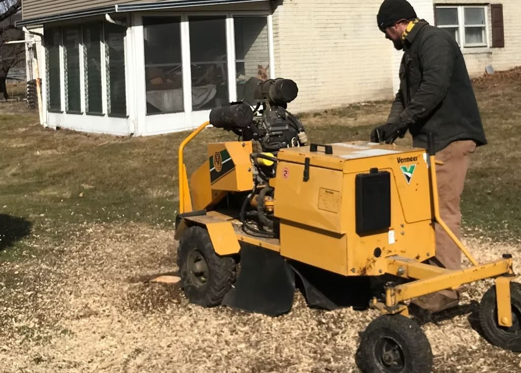 A person in a black jacket and beanie operates a yellow stump grinder in a grassy yard, surrounded by wood chips.