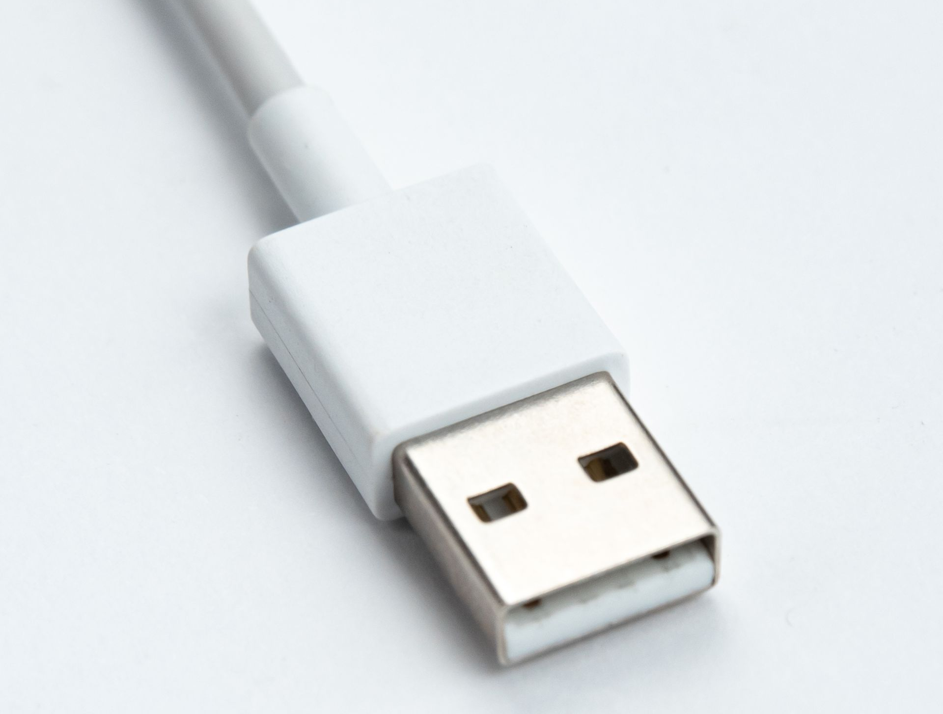White USB-A connector with cable against a white background.