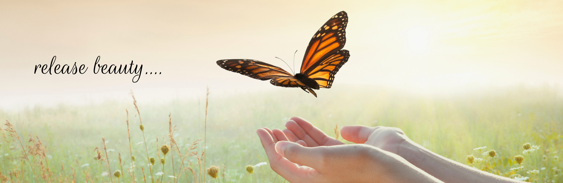 butterfly release graphic