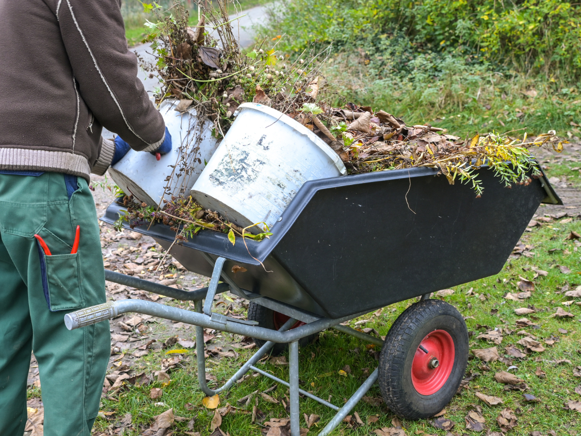 Person emptying buckets of yard waste into a wheelbarrow outdoors.