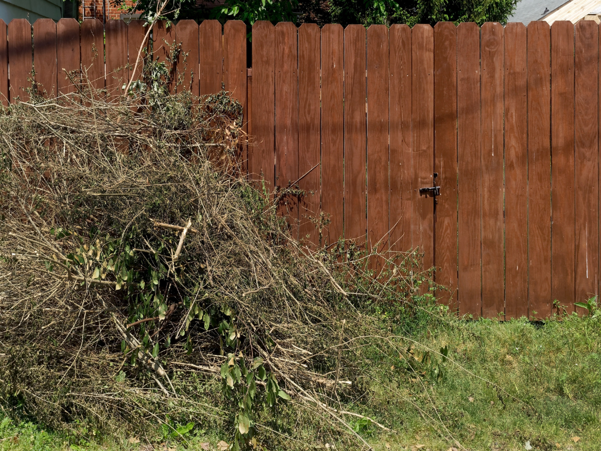 Pile of dead branches and trimmings next to a brown wooden fence and some grass.