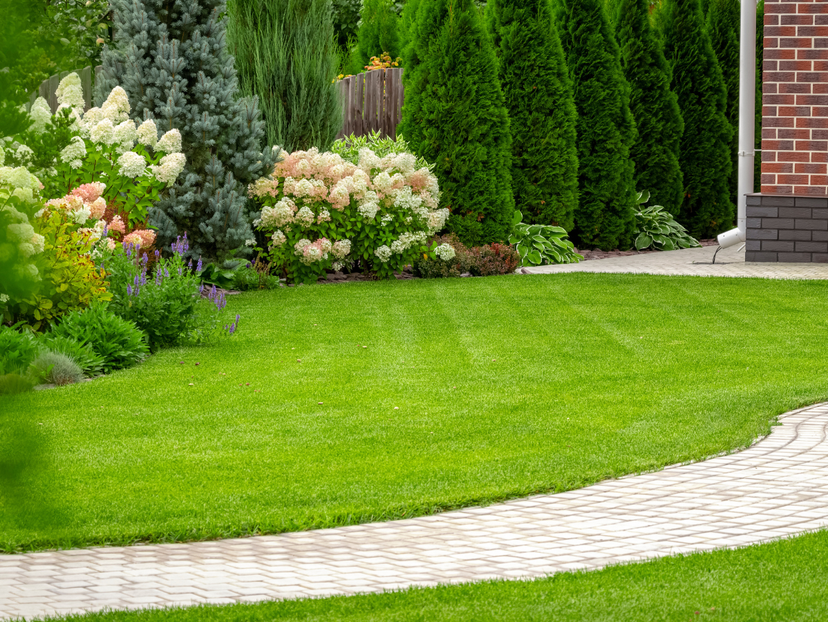 Lush green lawn with a curved brick pathway, bordered by colorful flowering shrubs and tall evergreen trees.