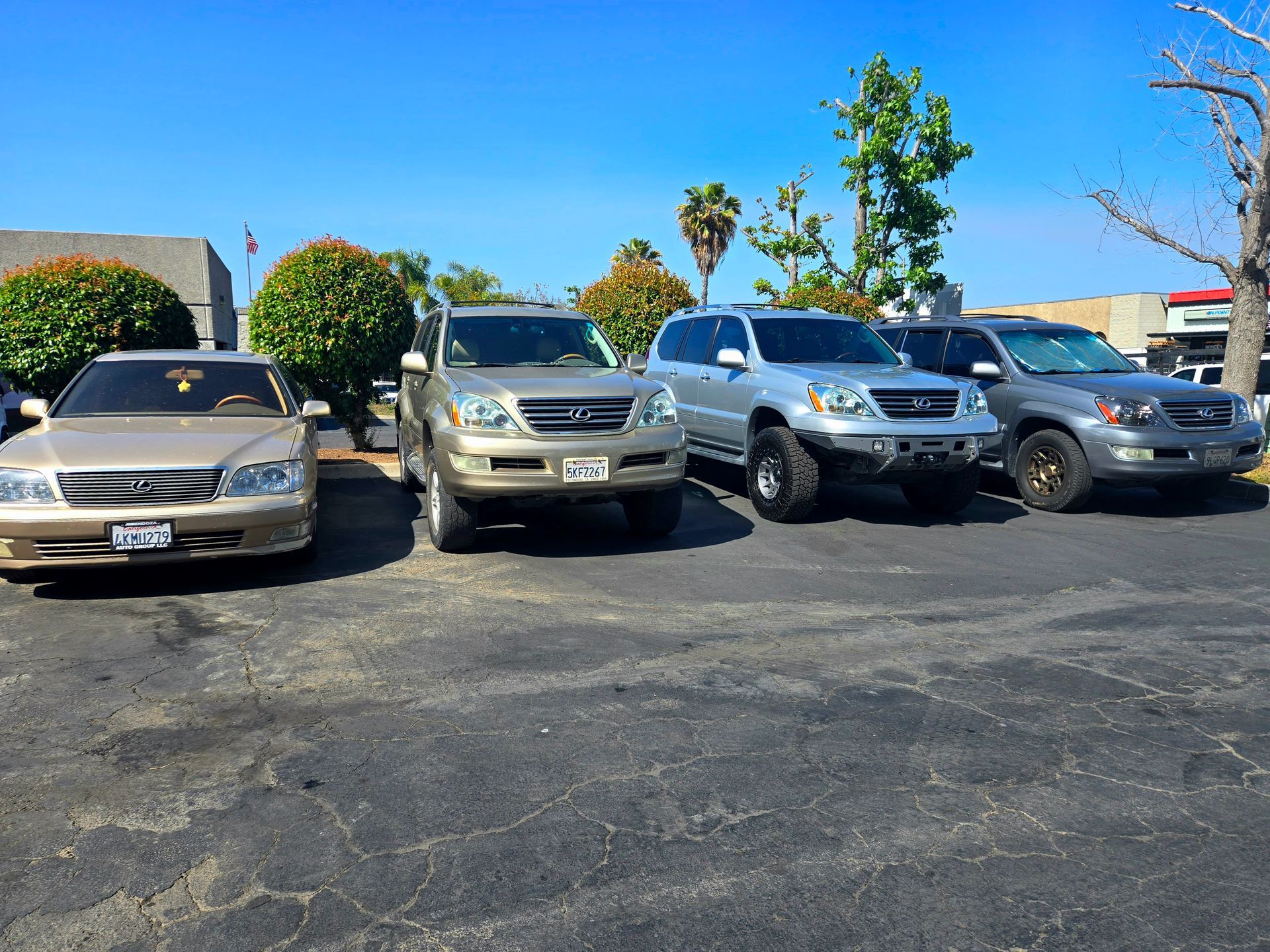 Gallery | Samtech Automotive image 10