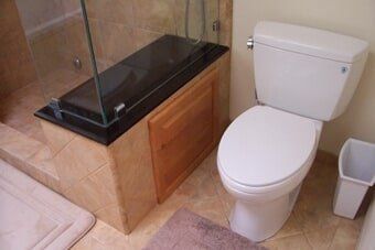 Plumbing Services — Bowl After — Novato, CA