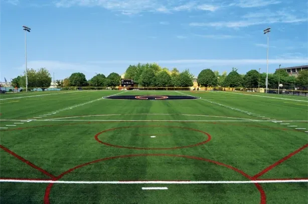 Coppermine Soccer Club's Bonvegna Turf Field view from the goal