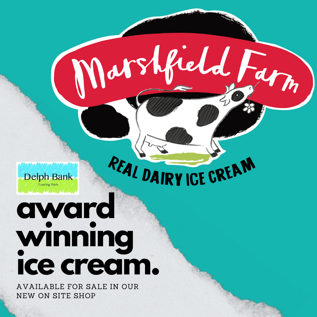 A poster for marsfield farm real dairy ice cream