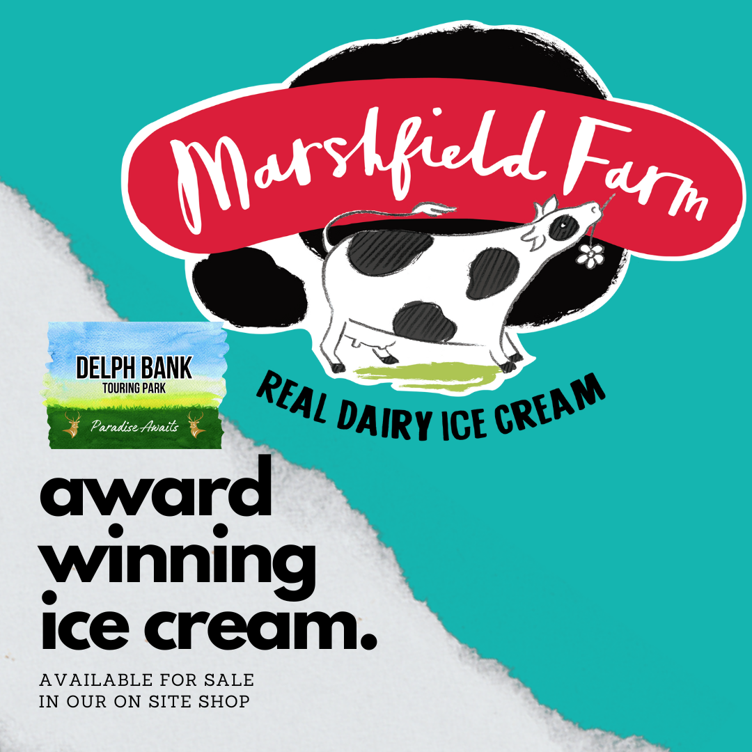 Award winning ice cream is available at Delph Bank Touring Park in Holbeach Lincolnshire