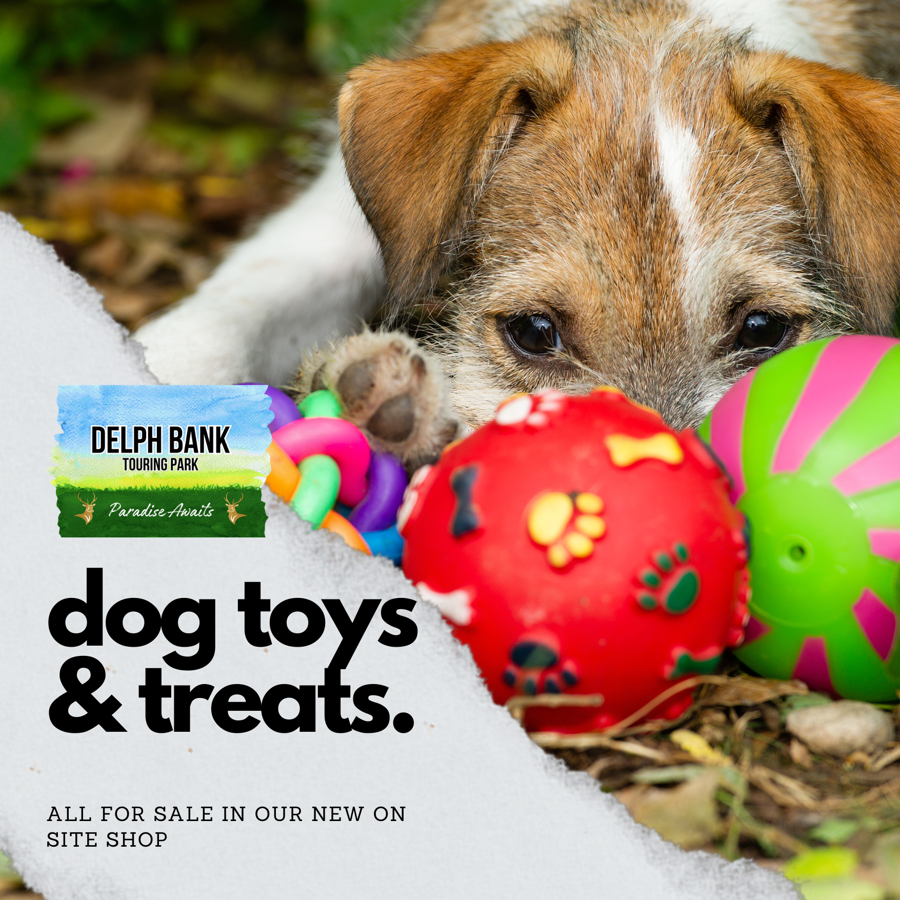Dog toys and treats are available at Delph Bank Touring Park in Holbeach Lincolnshire
