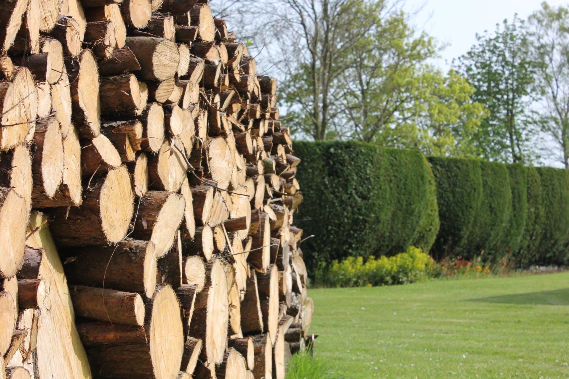 Well looked after grounds at Delph Bank Touring Park