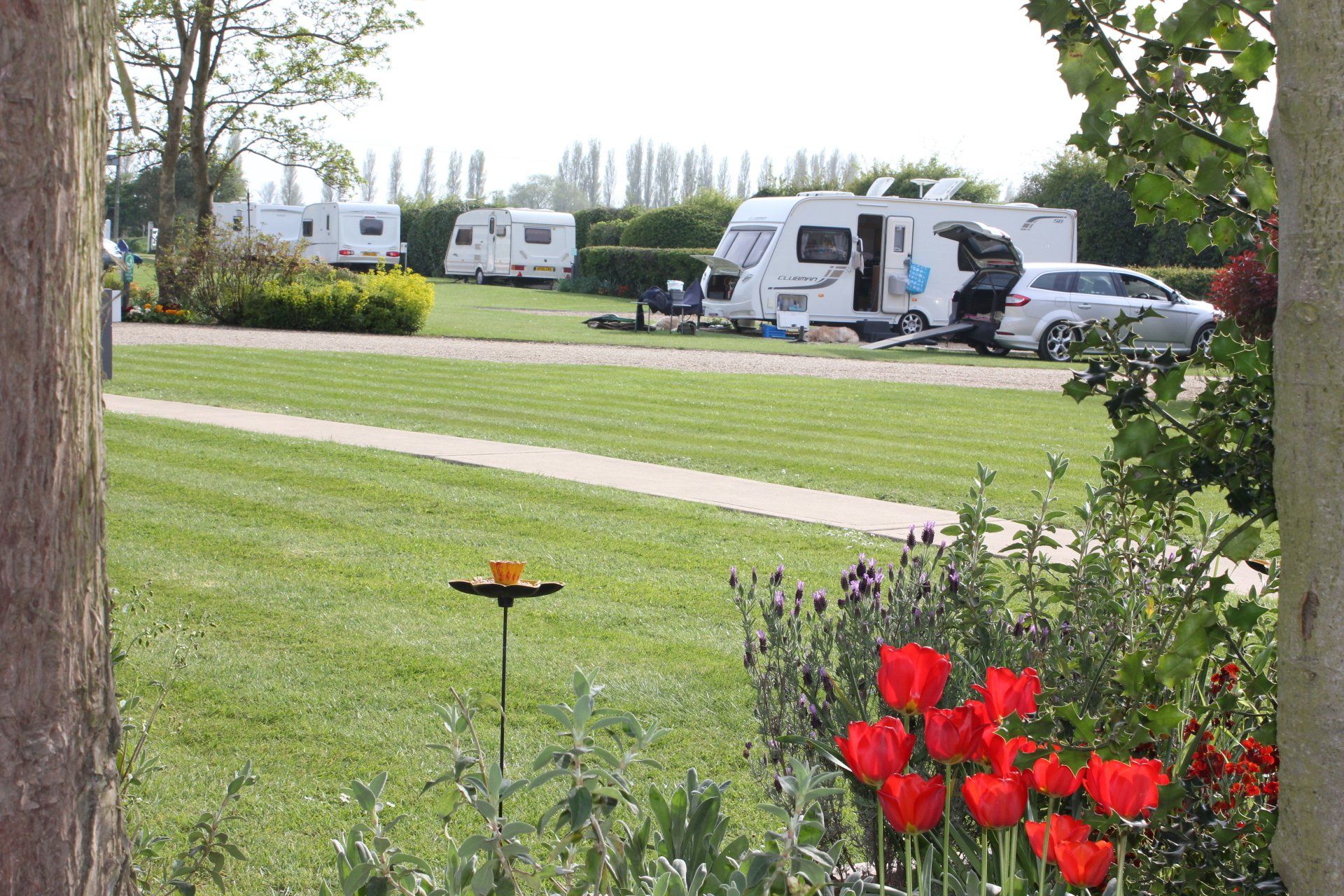 Beautiful grounds at Award Winning Adult Caravan Site Delph Bank Touring Park in Holbeach, Lincolnshire