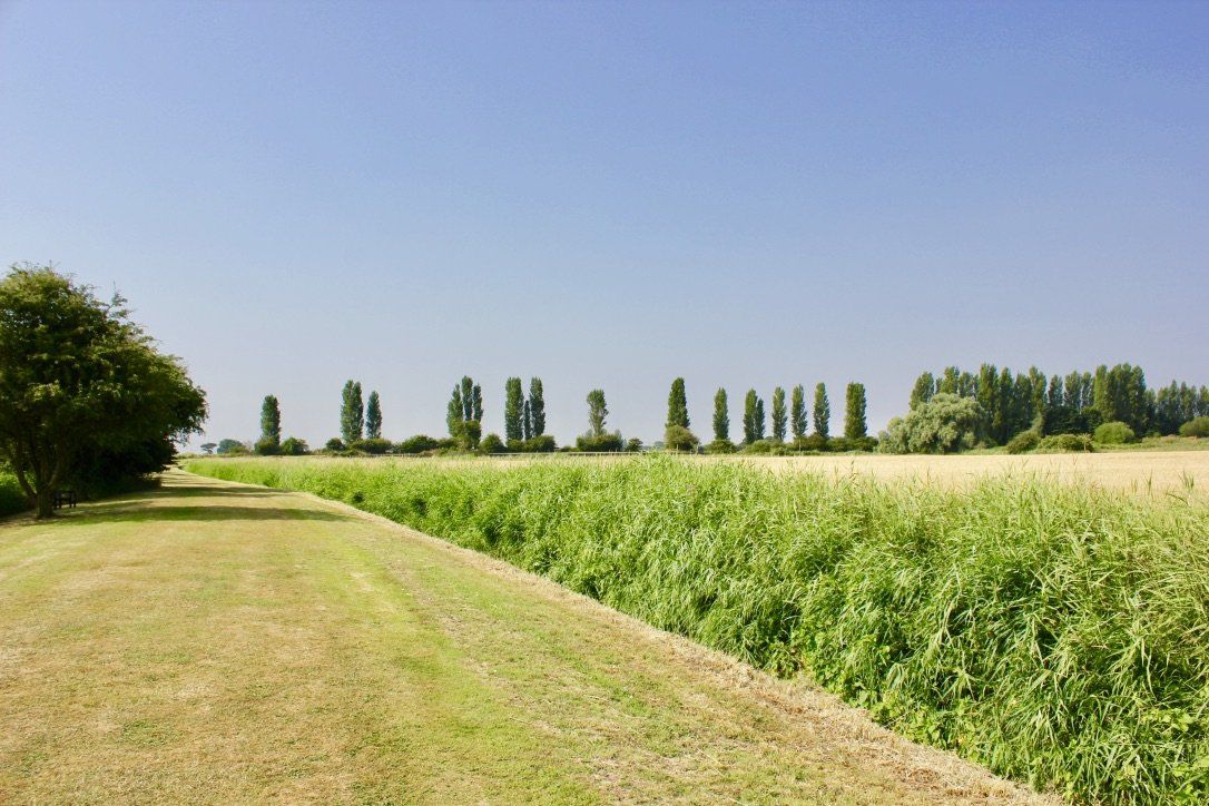 Beautiful grounds at Award Winning Adult Caravan Site Delph Bank Touring Park in Holbeach, Lincolnshire