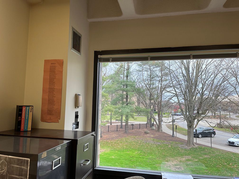 A window in a room with a view of a park and trees.