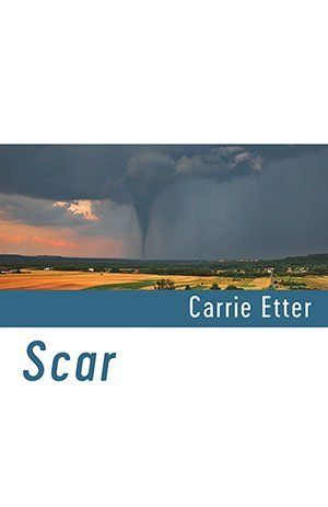 Carrie Etter  Scar