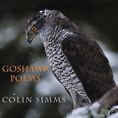 Colin Simms  Goshawk Poems