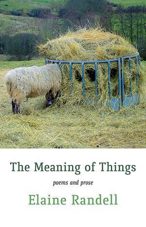 Elaine Randell  The Meaning of Things