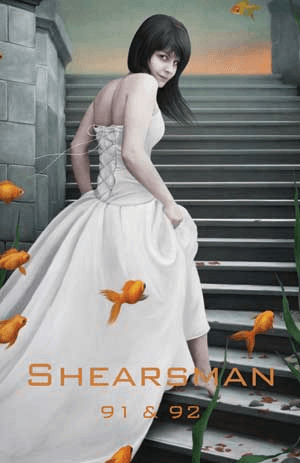 Cover of Shearsman magazine issue 91 and 92