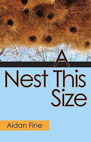 Aidan Fine: A Nest This Size