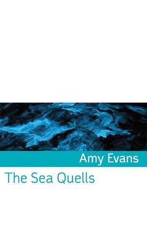 Amy Evans The Sea Quells
