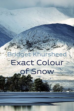 Bridget Khursheed - Exact Colour of Snow