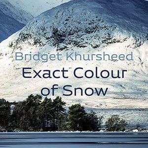 Bridget Khursheed - Exact Colour of Snow