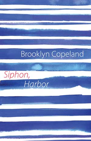 Brooklyn Copeland Siphon, Harbor