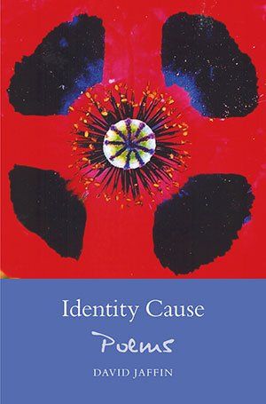 David Jaffin - Identity Cause
