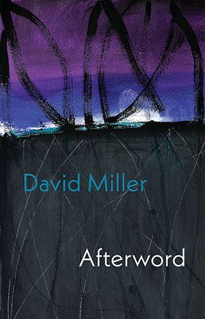 David Miller - Afterword