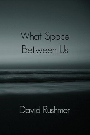 David Ruxhmer - What Space Between Us