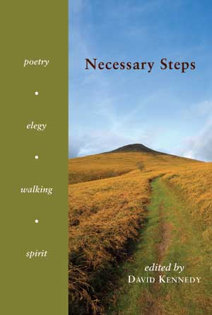 David Kennedy (editor): Necessary Steps