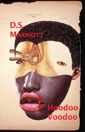 D.S. Marriott: Hoodoo Voodoo