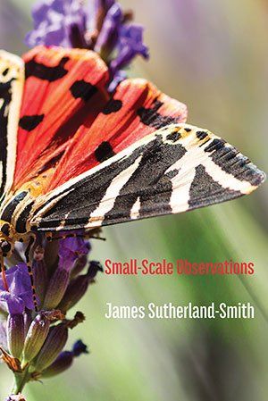 James Sutherland-Smith - Small-Scale Observations