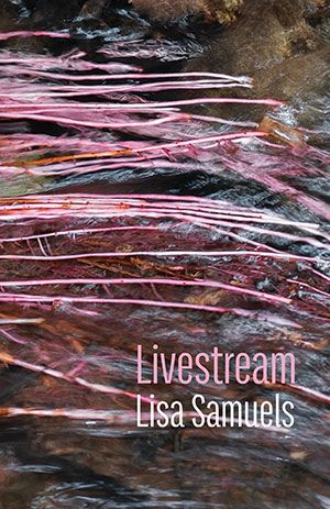 Lisa Samuels - Livestream